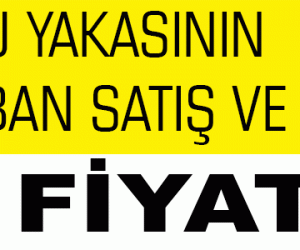 Yeniköy Adak Satış